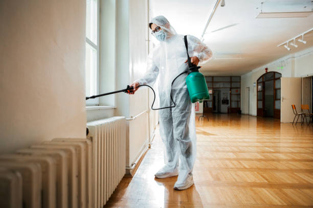 Flea Control Services in Frazer, PA