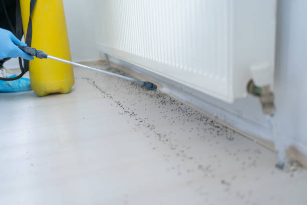 Best Affordable Pest Control Services  in Frazer, PA